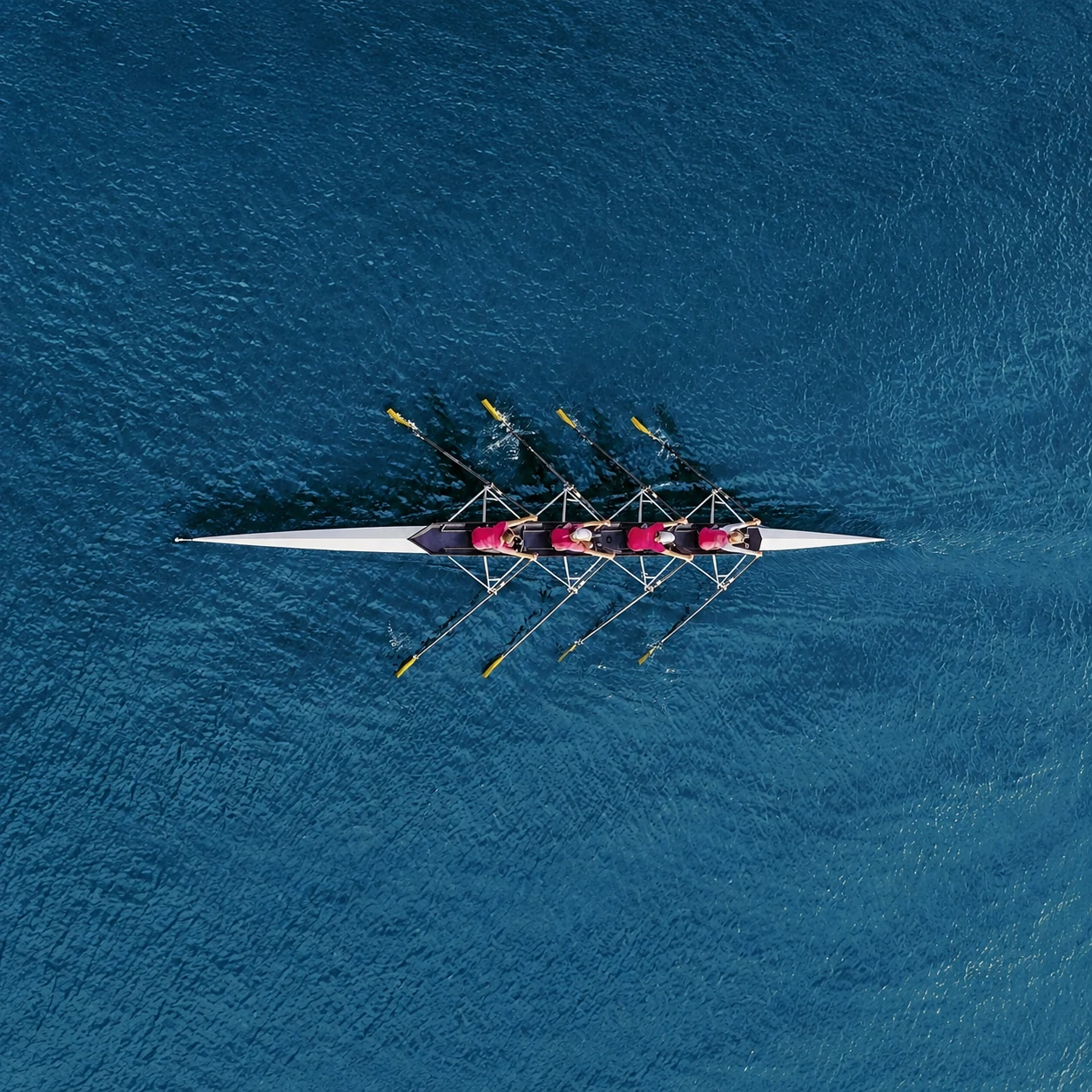 Coaching d'organisation NY Perspectives